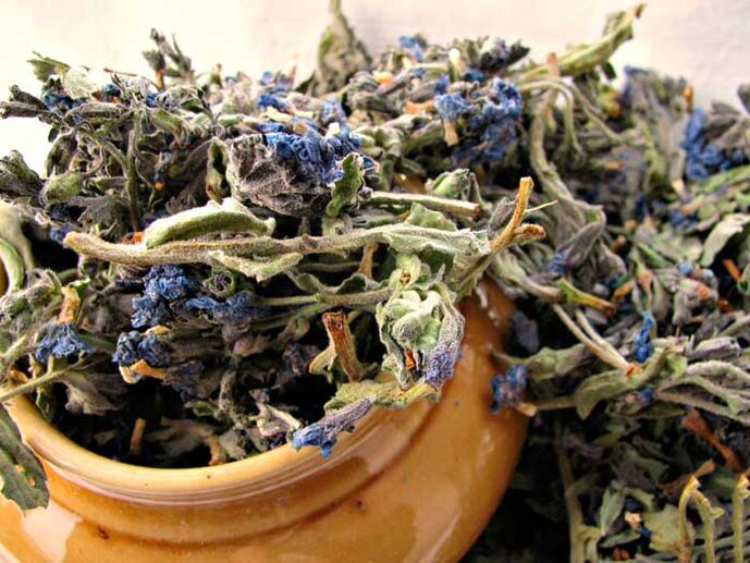 Dried lung for the preparation of a medicinal infusion that enlarges a man's penis