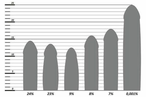 Penis Size Statistics